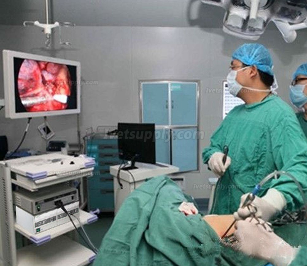 KWS XD-302-250W Veterinary/Medical  Double Holes Xenon Endoscope Light Source